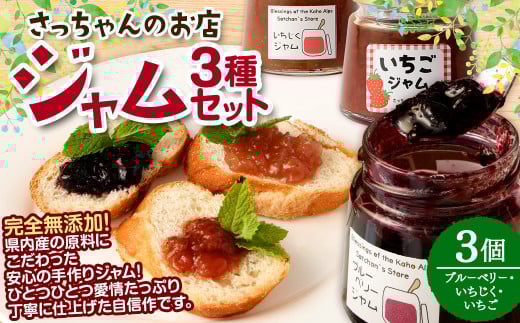 さっちゃんの店 ジャム 3種セット 各100g 3本セット （ブルーベリー・いちじく・いちご） 無添加 手作り 福岡県 嘉麻市