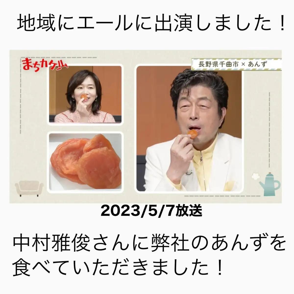 あんず セミドライ 横島あんず40ｇ×3袋セット