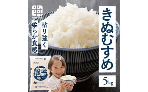 おいしいお米(5kg) 無洗米 リピーター続出 きぬむすめ_無洗米 きぬむすめ 5kg 白米 お米 国産 時短 岡山県 津山市 送料無料【1184608】