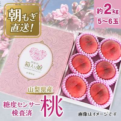 【2027年 先行受付】 桃 約2kg 5～6玉 朝もぎ直送! 旬の完熟『桃』選び抜かれた桃【配送不可地域：離島】
