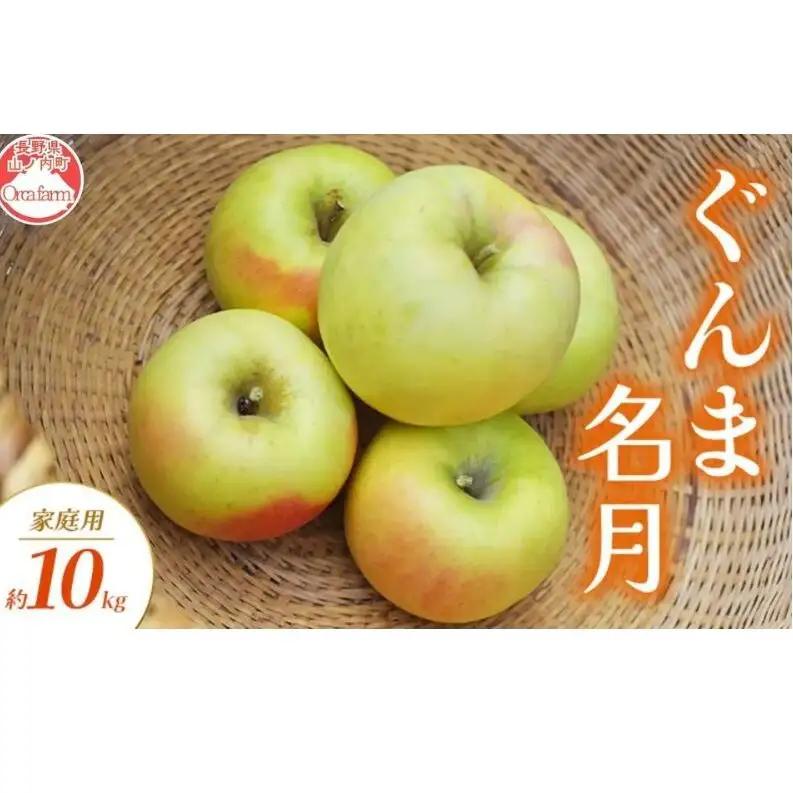 りんご ぐんま名月 家庭用 10kg りんご