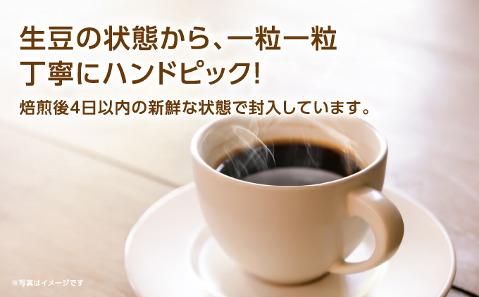 オリジナルブレンド芦屋川コーヒー 粉3パックセット| 珈琲 コーヒー豆 ギフト ドリップ モーニング デザート 粉 セット 飲料 ドリンク ハンドピック 酸味 苦味 粉3パックセット