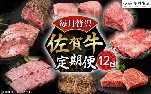 W-1 佐賀牛 毎月贅沢便１２回コース