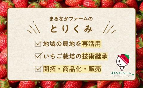 Koichigo Beer 330ml×6本セット【まるなかファーム株式会社】