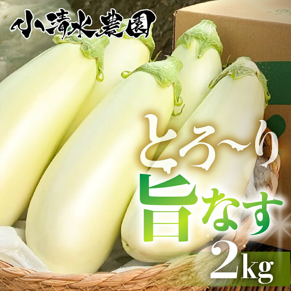 【ふるさと納税】《先行予約》とろ～り旨なす 2kg 茄子 なす 白茄子 白なす 白ナス ナス 旨い 甘い 艶 ツヤ ハリ 揚げ物 揚げ茄子 焼茄子 麻婆茄子 輝楽 愛知県 豊橋市