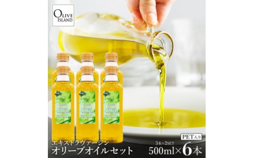 エキストラバージンオリーブオイル 500ml×6本【1776880】