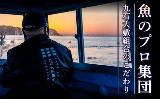 【船上神経締め鮮魚ボックス】朝獲れ直送 3~5種入り （2025年6月出荷) 冷蔵 魚種お任せ 水揚げ 海鮮 魚介 産地直送 新鮮 天然 魚 詰め合わせ