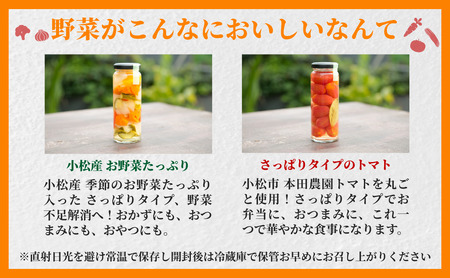 ピクルス ベジふるピクル素たっぷり野菜＆さっぱりトマト ２本セット