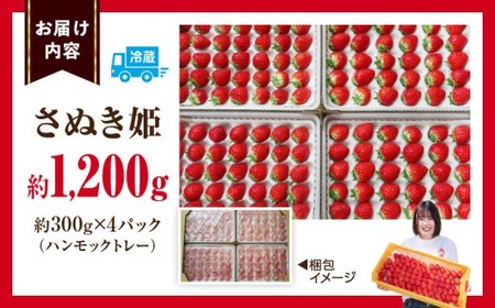”あえて”小粒いちご　極甘さぬき姫1,200g×1箱 | いちご 小粒 高級 さぬき姫 果物 フルーツ おすすめ 旬 イチゴ 季節 旬の果物 ギフト パック 果実 贈り物 化粧箱 贈答用 デザート 人