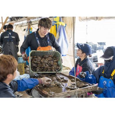 ふるさと納税 長崎市 タイドメ 8.0mm 長崎産アコヤ真珠(check) |  | 02