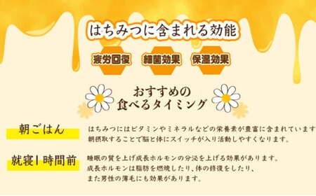 『純国産』土佐のみかん山のはちみつ＜600g＞ 国産 東洋町産 蜂蜜 ハチミツ ハニー 国産はちみつ 国産ハチミツ 四国 家庭用 自宅用 大容量 送料無料 TA21 【田中農園】
