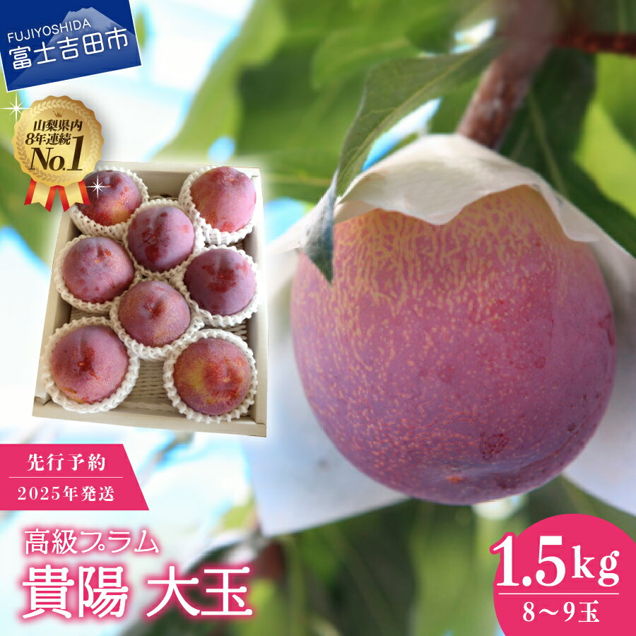 【ふるさと納税】 プラム 2025年発送 7月 高級 すもも 貴陽 大玉 1.5kg 富士吉田市 スモモ 8玉～9玉 数量限定 期間限定 富士吉田 山梨県産 フルーツ 果物 くだもの