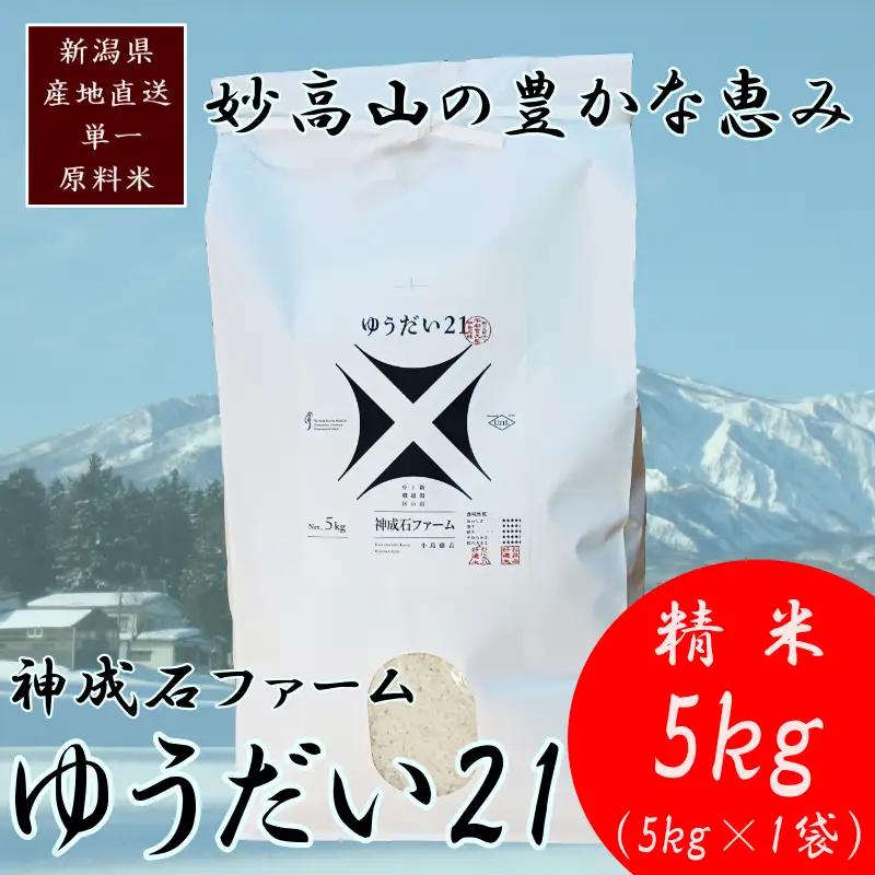ゆうだい21  標高200mで育てた 棚田米 ゆうだい21 5kg