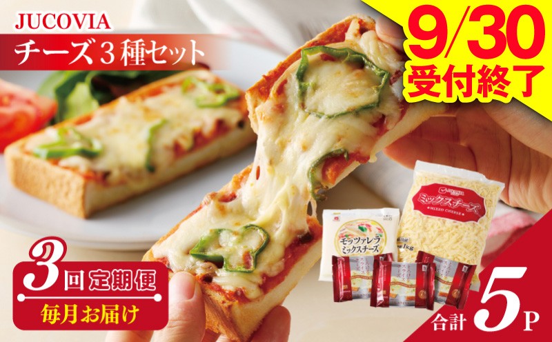 
                  【9/30受付終了】人気チーズ 定期便 3種セット×全3回 ムラカワチーズ【毎月配送 普段使い 高評価 ちーず】
                