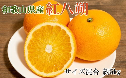 【2027年発送先行予約】【希少品】和歌山県産紅八朔約5kg（サイズ混合）※2027年1月下旬～2月中旬ごろ順次発送【tec944A】