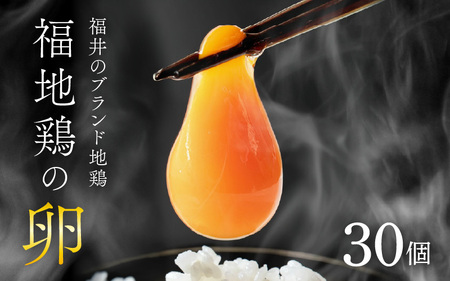 濃厚で甘くておいしい！ 福井ブランド「福地鶏」の卵 30個 ／ 卵 たまご 鶏卵 生卵 有精卵 高級 高級卵 福地鶏 鶏 平飼い 美味しい こだわり 卵かけご飯 料理 あわら市 福井県産 [aw036-a001]