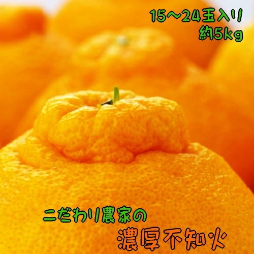 【先行予約】こだわり農家の濃厚不知火（デコポンと同品種） 15～24玉（約5kg）| デコポン 不知火 でこぽん しらぬい 柑橘 5kg 果実 フルーツ 先行予約 冬 農家直送 濃厚 ※2026年2月上旬～3月下旬頃に順次発送予定