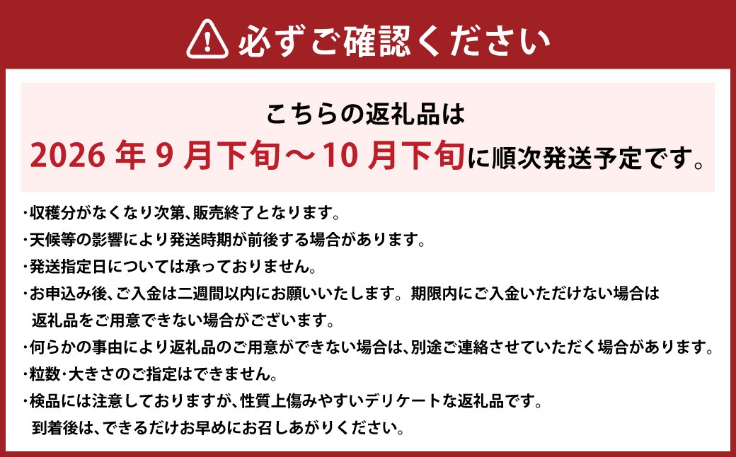 瀬戸ジャイアンツ 優 2kg以上