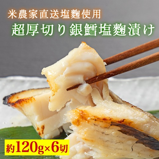 超厚切り銀鱈塩麹漬 6切入 ※北海道・沖縄・離島への配送不可