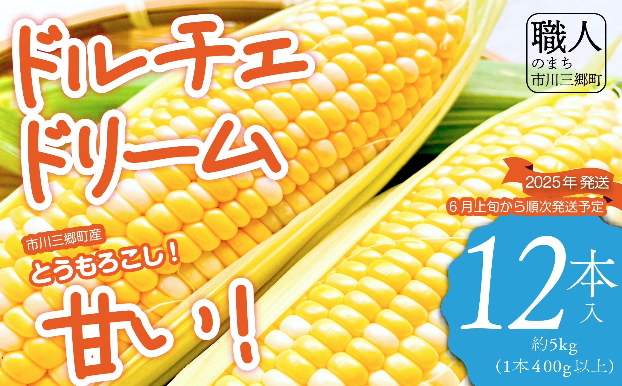 市川三郷町大塚産 ドルチェドリーム 12本 約5kg【2025年6月上旬から発送】Kai Sweet Farm[5839-2211]