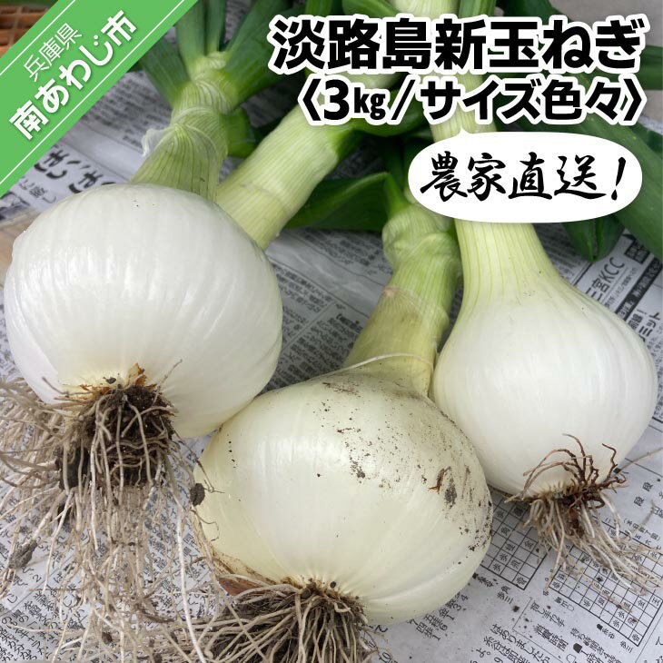 【ふるさと納税】農家直送！【奈良農園】淡路島新玉ねぎ ≪3kgサイズ色々≫ ふるさと納税 おすすめ