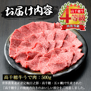 高千穂牛 ウデ焼き肉(500g)【MT001】【JA高千穂地区ミートセンター】