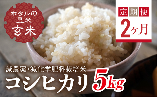 
＜定期便2ヶ月＞【ホタルの里米】環境に配慮し農薬を減らした栽培米 コシヒカリ玄米5kg F4D-0660
