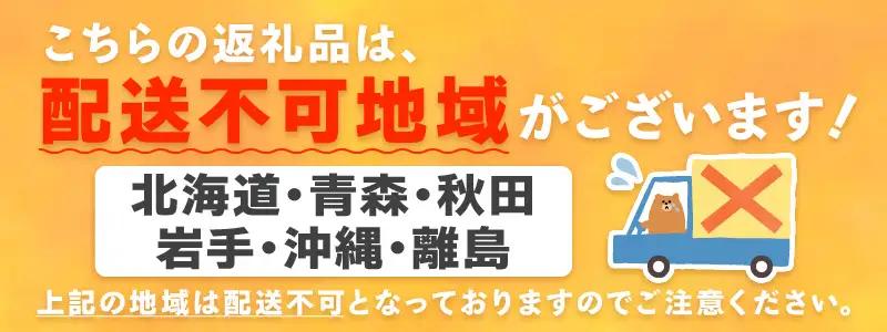 いちご まりひめ4パック《先行予約》いちご【配送不可地域：北海道・青森・秋田・岩手・沖縄・離島】【FN1300】