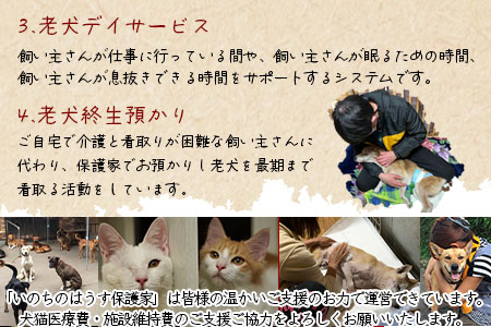 ＜保健所犬猫レスキュー【返礼品なしのご寄附】＞寄付金額5,000円※お礼状をお送りいたします。【 動物愛護 保護 犬 猫 いぬ ねこ イヌ ネコ 動物 どうぶつ ペット 応援 支援 寄付 使い道 】