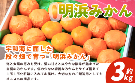 ＜西予の美味しい柑橘セレクト（特選）／明浜みかん（約3kg）＞ 果物 くだもの フルーツ 蜜柑 みかん ミカン 柑橘 贈答 贈答用 ギフト プレゼント 特選 温州みかん 食べて応援 国産 愛媛県産 特