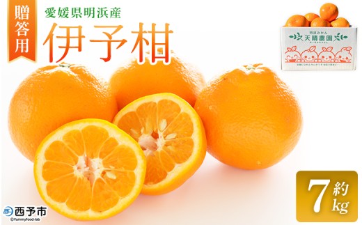 ＜伊予柑 贈答用 約7kg＞ ギフト いよかん イヨカン みかん 蜜柑 柑橘 果物 くだもの フルーツ ミカン 愛媛 国産 7キロ 果汁 ジューシー 明浜 特産品 笑丸 愛媛県 西予市【常温】『2026年1月下旬より順次出荷予定』