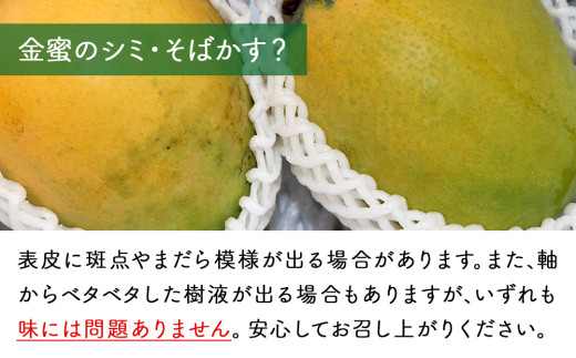 黄金(くがに)マンゴー「金蜜」(2kg以上) 【2025年７月中旬～