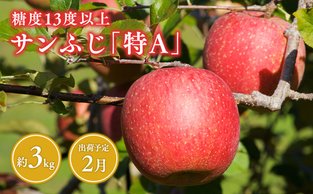 2月発送 糖度13度以上  サンふじ 約3kg  青森県産りんご [hi-0009-003]