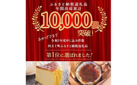 バスクチーズケーキ～四万十の米粉入り～ 2個セット ／Bmu-64