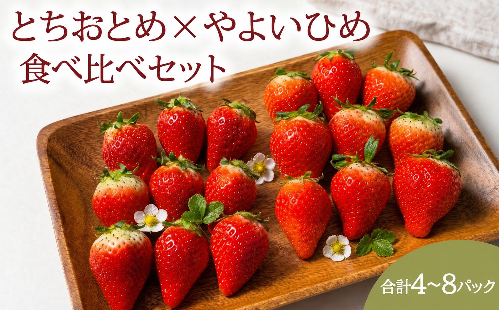 
                  いちご 先行予約 とちおとめ やよいひめ 食べ比べセット 約 1kg ~ 2kg (1パック 250g) 苺 ストロベリー 果物 フルーツ ジャム ケーキ いちご大福 ショートケーキ 期間限定 ふるさと納税 ふるさと納税いちご 冷蔵 strawberry 産地直送 くだもの ギフト プレゼント 贈答 ichigo itigo 送料無料 千葉県 銚子市 神原いちご園 【2027年1月~5月上旬発送】
                