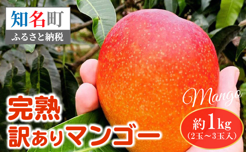 
                  完熟訳ありマンゴー 約1kg（2玉～3玉入）　C005-012
                