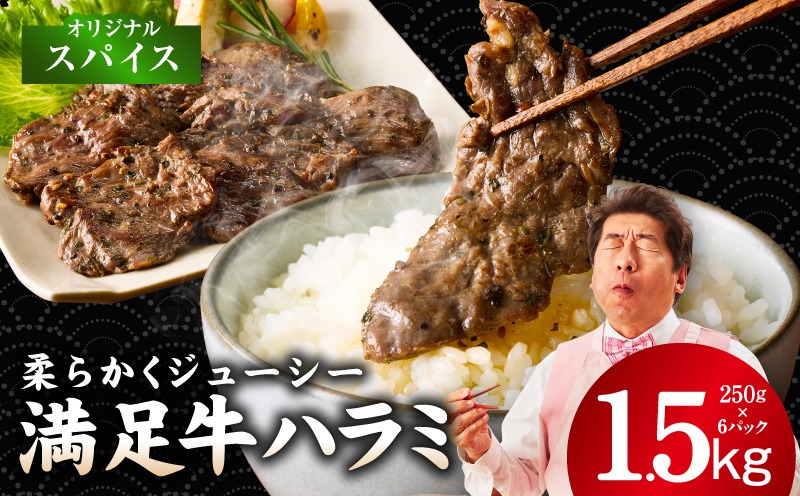 099H4188 【満足牛ハラミ】オリジナルスパイス仕込み 合計1.5kg 【味付け ハラミ 小分け 焼くだけ 簡単調理 BBQ 牛肉 250g×6P 普段使い】