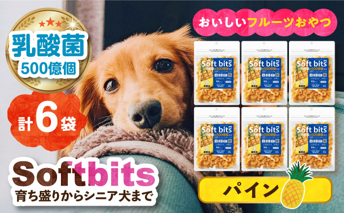 
Softbits （果物）パイン（40g×6P）長崎県/株式会社サポート [42AEAE012] ソフトビッツ ドッグ フード いぬ 犬 イヌ おやつ ペット 乳酸菌 国産 果物 くだもの シニア 幼犬 老犬 小分け 小型犬 中型犬 大型犬 ドック 安心 犬のおやつ フルーツ
