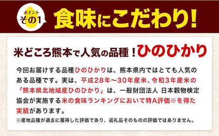 【隔月6回定期便】ひのひかり 20kg 無洗米