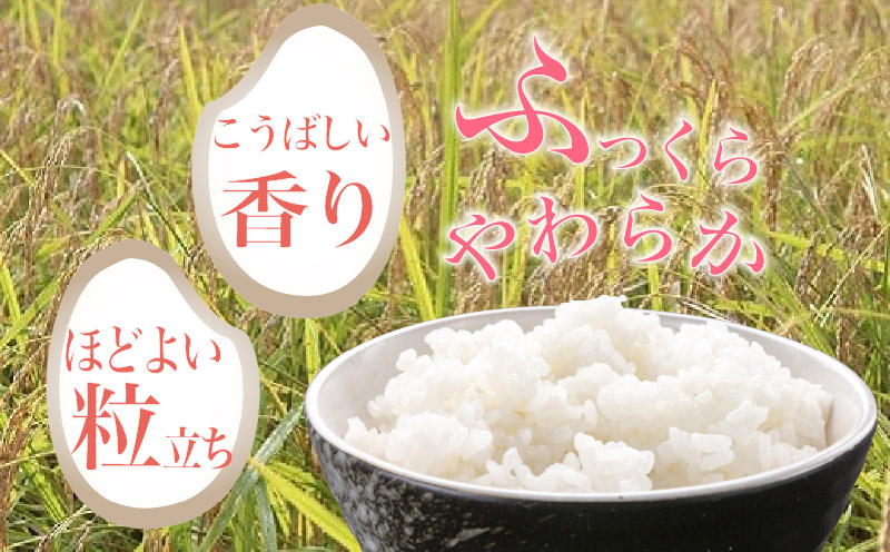 【 令和7年産 】 白米 5kg あさぎり 米 5キロ 香り米 精米 国産米 香米 おこめ アサギリ 空海ゆかりの里 うまにの おいしい お米 ふるさと納税米 ふるさと納税お米 2025年産 数量限定