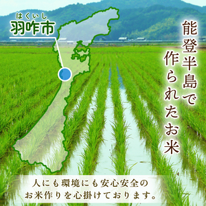 【 先行予約 】【 数量限定 】 定期便 令和7年産 のと米 精米 10kg ( 5kg × 2袋 ) × 3回 計 30kg 能登 こしひかり 米 減農 新米 米 こだわり 石川県産 羽咋市産 こめ