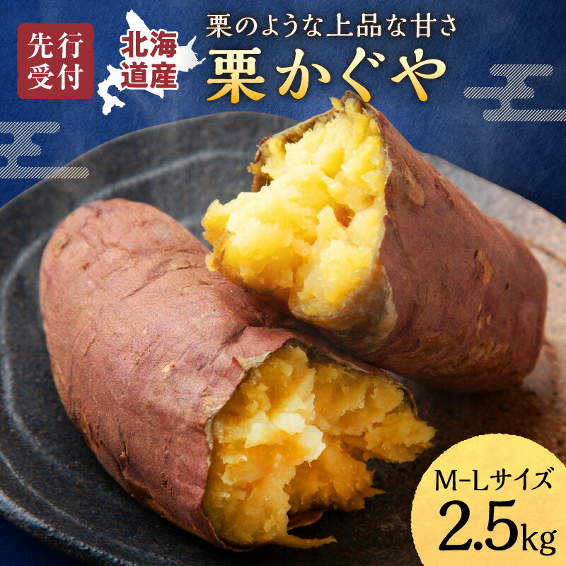 【ふるさと納税】【数量限定】北海道雨竜町産 さつまいも 「栗かぐや」M-Lサイズ 2.5kg 大きめサイズ 産地直送 さつまいも サツマイモ 北海道 国産 おやつ お菓子作り 料理 雨竜町 送料無料