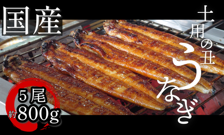 【2週間配送】 国産 うなぎ 蒲焼 5尾（約800g）冷蔵 特上うなぎ 頭付き かば焼き うなぎ蒲焼き 鰻 土用の丑の日 丑の日 夏 スタミナ たれ 秘伝 うな重 ひつまぶし 人気 地元で人気 おすすめ タレ 焼き ｳﾅｷﾞ ﾀﾚ ｳﾅｷﾞ ﾀﾚ ｳﾅｷﾞ ﾀﾚ ｳﾅｷﾞ ﾀﾚ ｳﾅｷﾞ ﾀﾚ ｳﾅｷﾞ ﾀﾚ ｳﾅｷﾞ ﾀﾚ ｳﾅｷﾞ ﾀﾚ ｳﾅｷﾞ ﾀﾚ ｳﾅｷﾞ ﾀﾚ ｳﾅｷﾞ ﾀﾚ ｳﾅｷﾞ ﾀﾚ ｳﾅｷﾞ ﾀﾚ ｳﾅｷﾞ ﾀﾚ ｳﾅｷﾞ ﾀﾚ ｳﾅｷﾞ ﾀﾚ  ｳﾅｷﾞ ﾀﾚ ｳﾅｷﾞ ﾀﾚ ｳﾅｷ