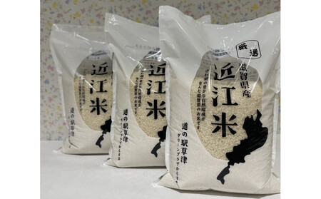 令和7年産　近江米コシヒカリ（白米）5kg×3　計15kg