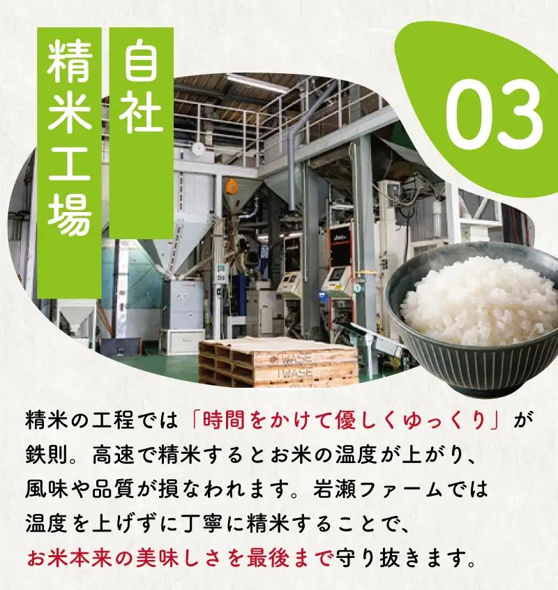 新米【9月以降発送】コシヒカリ10kg｜新米