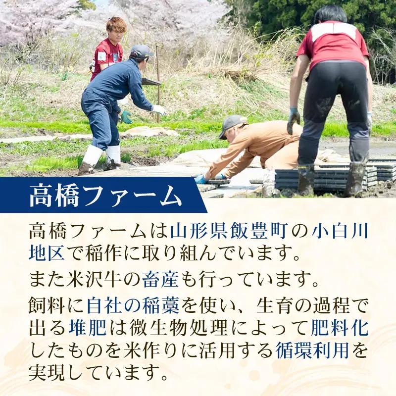 至福の味わい、幸せ米 はえぬき10kg - R8年産新米予約 白米 米 ごはん 山形県 飯豊町産