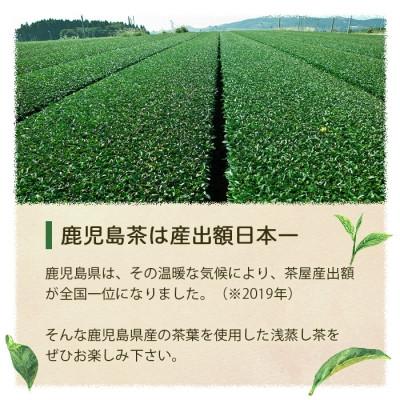 ふるさと納税 枕崎市 【2024年産】浅蒸し煎茶(100g×3袋)【若蒸し煎茶 】【合計300g】 A3-5 |  | 02