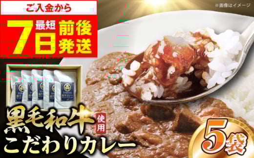 【お中元対象】【スピード発送】モリタ屋オリジナル和牛カレー5袋 カレー レトルト 肉 お肉 和牛 黒毛和牛 簡単調理 大阪府高槻市/株式会社ミートモリタ屋[AOAI005]