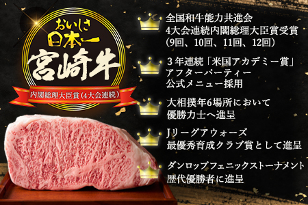 【定期便 6回】受賞歴多数!! ≪宮崎牛≫月に一度のお楽しみ定期便【総重量4.75Kg】【ステーキ・焼肉・すき焼き・しゃぶしゃぶ】
