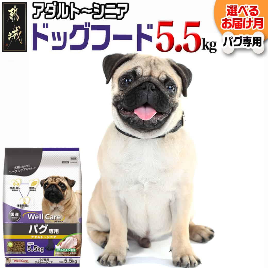 【ふるさと納税】【お届け月が選べる】ドッグフード(パグ専用)アダルト〜シニア5.5kg - 犬用フード ドライフード ウェルケア 中粒タイプ 国産 ペットフード 犬 予約 発送時期が選べる ごはん 総合栄養食 送料無料 LG-3312 【宮崎県都城市は2年連続ふるさと納税日本一！】